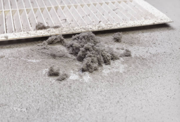 Best Affordable HVAC Duct Cleaning  in Parker City, IN