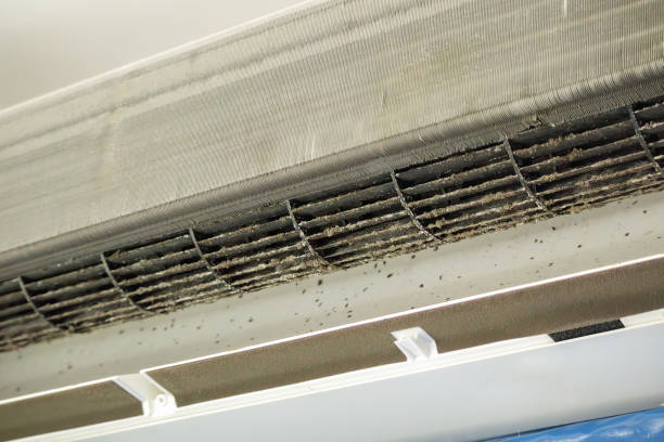 Best Best Air Duct Cleaning Company  in Parker City, IN